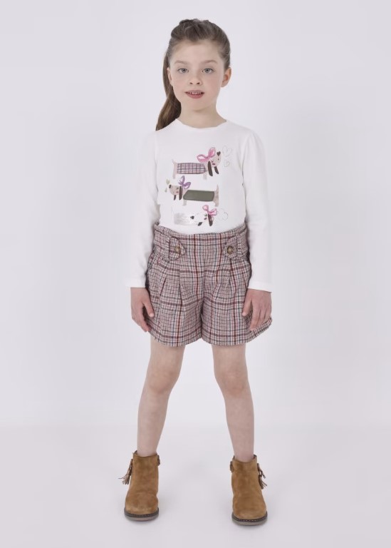 4216 - Plaid Shorts
